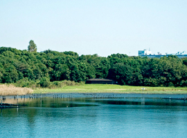 Oi Futo Chuo Kaihin Park