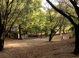 Heiwajima Park