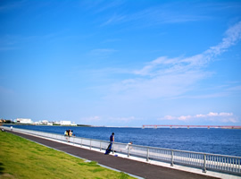 Keihinjima Tsubasa Park