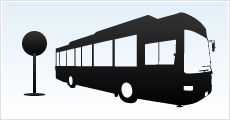 1. Buses always stop at bus stops.