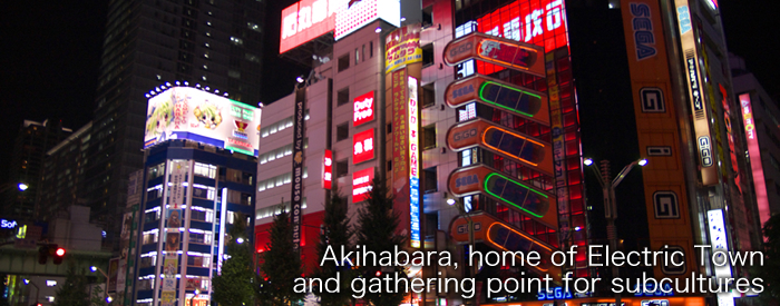 Akihabara, home of Electric Town and gathering point for subcultures