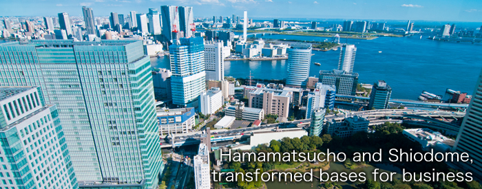 Hamamatsucho and Shiodome, transformed bases for business