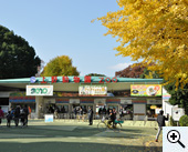 Ueno Park, a great spot for dates