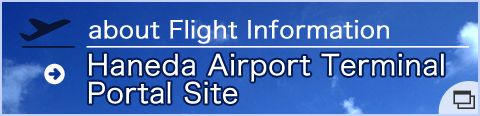 about Flight Information