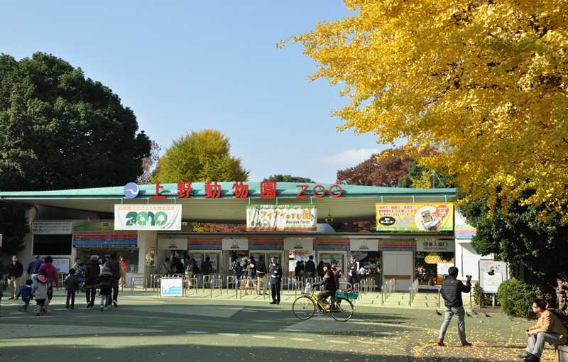 東京モノレール 東京観光 沿線ガイド 東京観光 さまざまな遊びが楽しめる上野